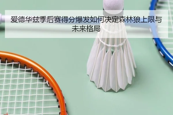 爱德华兹季后赛得分爆发如何决定森林狼上限与未来格局