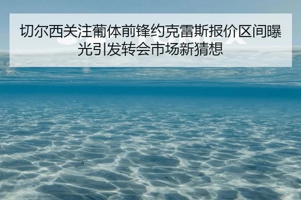 切尔西关注葡体前锋约克雷斯报价区间曝光引发转会市场新猜想