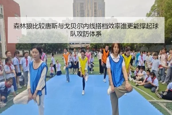 森林狼比较唐斯与戈贝尔内线搭档效率谁更能撑起球队攻防体系